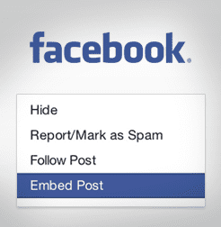 Facebook Offers Up Embedded Posts