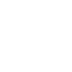 ecommerce-icon-custom