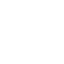 secure-icon-custom